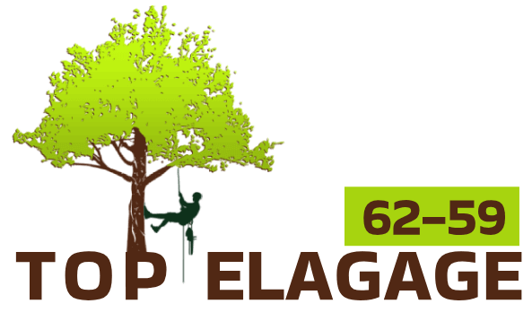 top-elagage